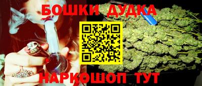 сатива Будённовск
