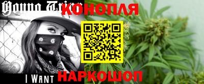 сатива Будённовск