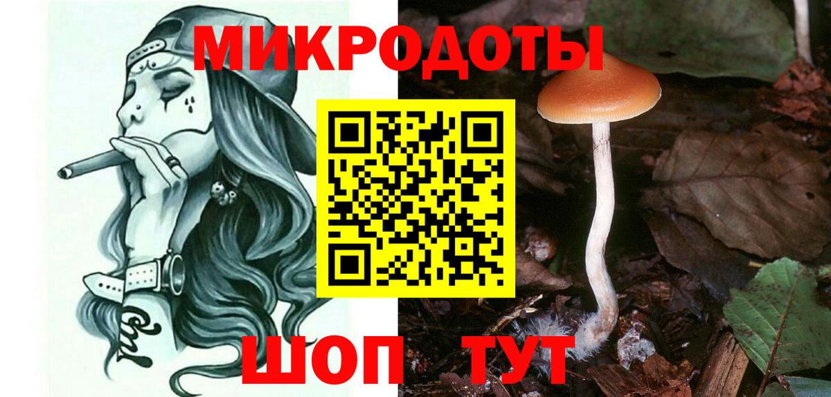 Галлюциногенные грибы Cubensis  Вход с VPN  Галлюциногенные грибы Magic Shrooms  Сунжа 