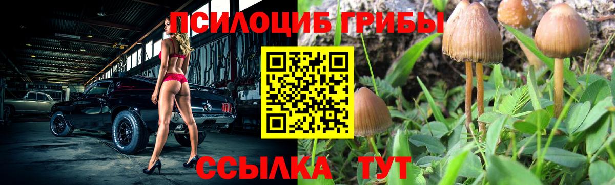 Псилоцибиновые грибы Magic Shrooms Сунжа
